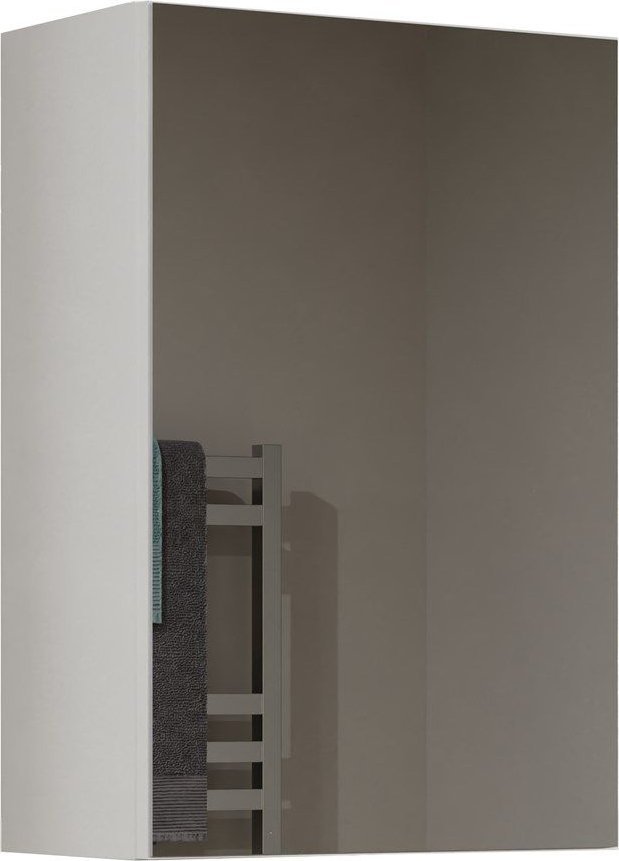 Topeshop Szafka wisząca do łazienki, lustro, Pola, 40x22x60 cm, biały, mat