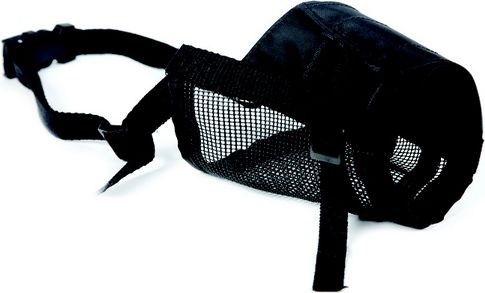 Dingo Kaganiec nylonowy dla psa - rozmiar 1