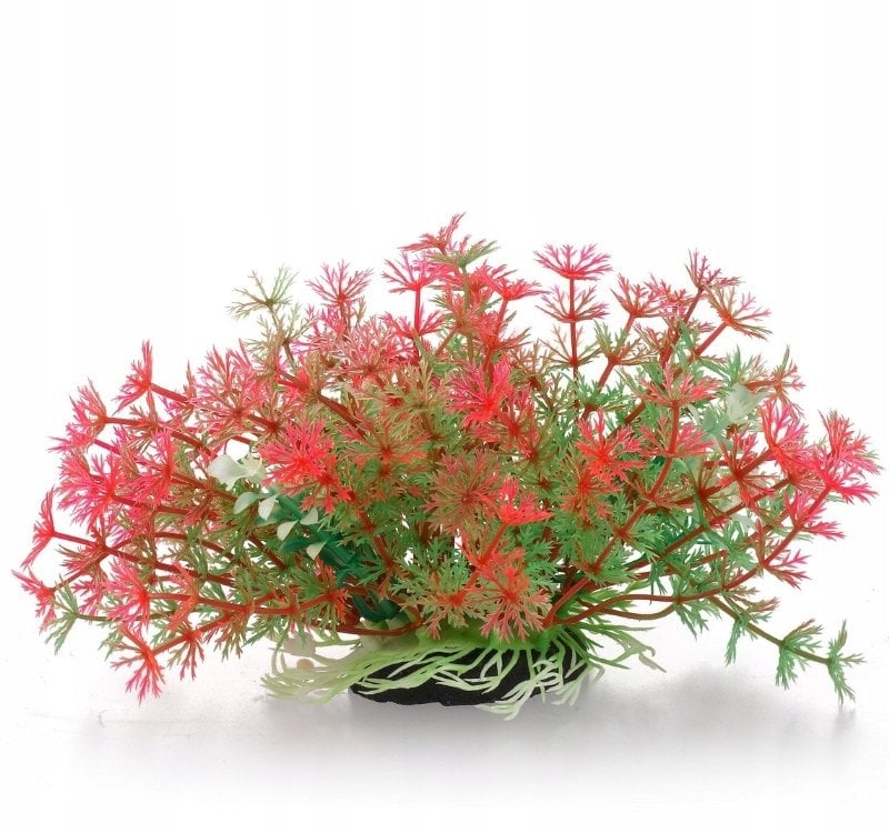 Terra Natura Aqua Natura, roślina do dekoracji akwarium, zielono-różowa, plastikowa, 10 cm, pędy kopru, szerokie