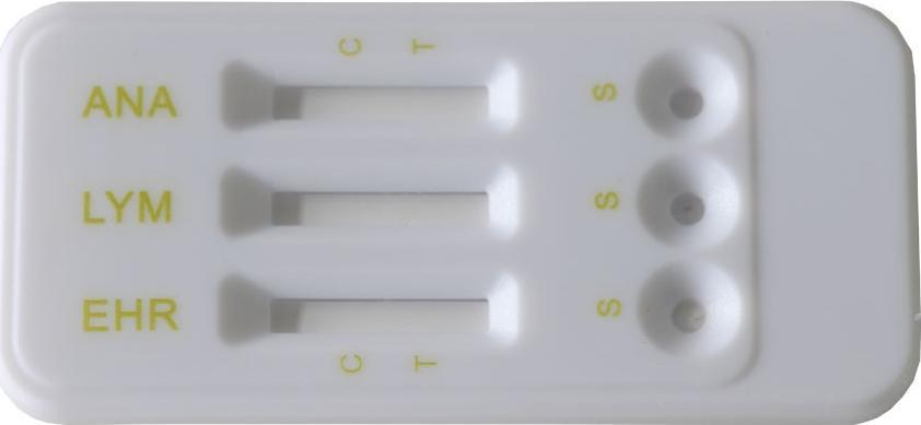 Selflab Szybki test Selflab na choroby odkleszczowe psów EHR-LYM-ANA Ab