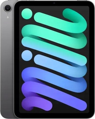 Tablet Apple iPad Mini 8.3" 6 gen. 256 GB Szary (MXNA3HC-A)