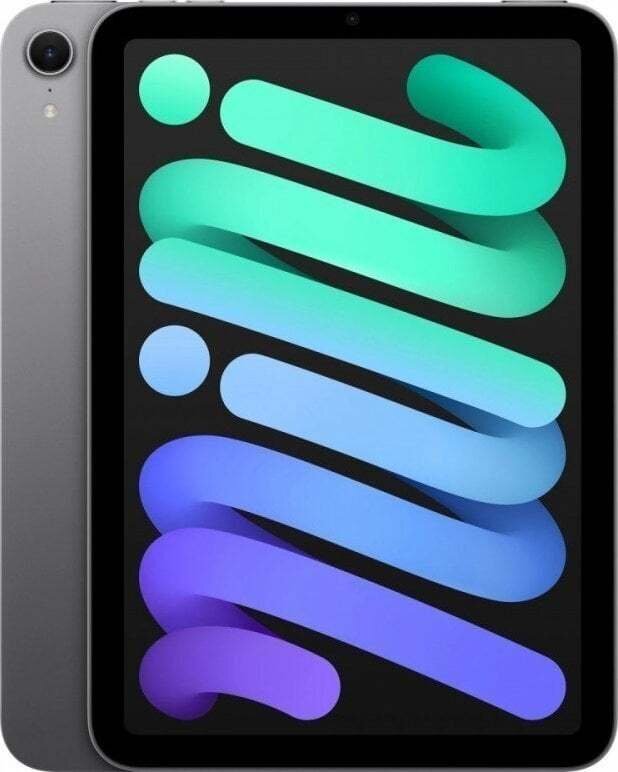 Tablet Apple iPad Mini 8.3" 6 gen. 256 GB Szary (MXNA3HC-A)