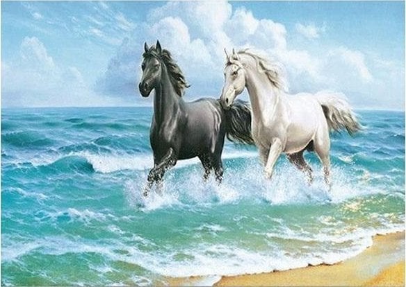 Norimpex Mozaika diamentowa 5D - Konie 40x30cm