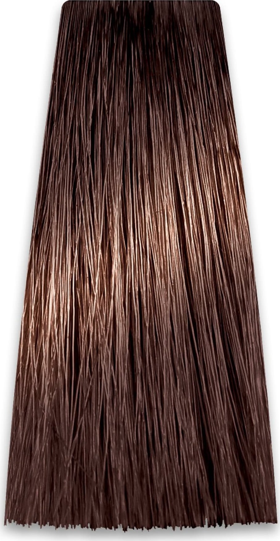 Chantal CHANTAL Intensis Color Art Farba do włosów 6/07 100 g