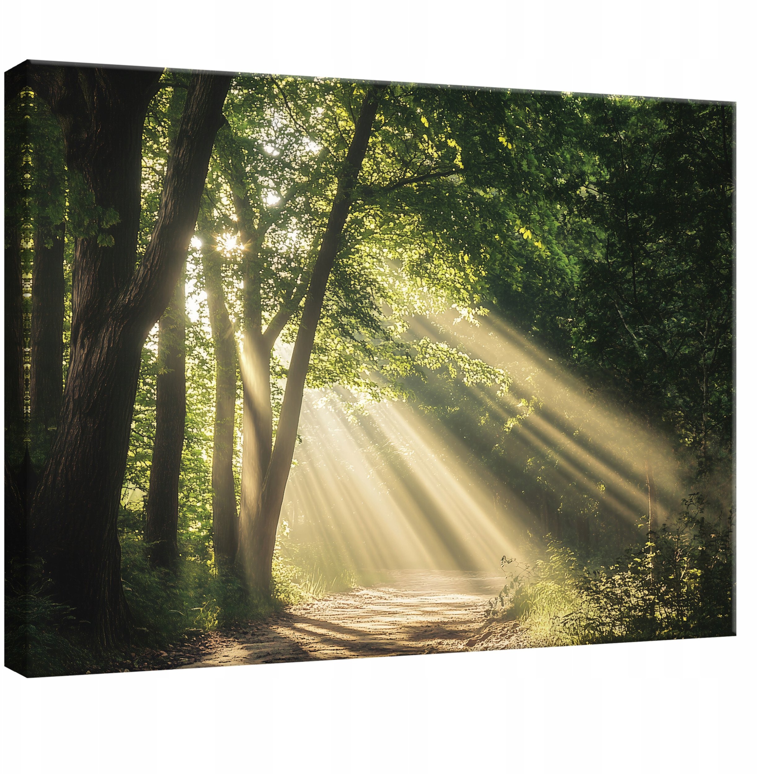 OBRAZ NA PŁÓTNIE ŚCIANĘ LAS NATURA DRZEWA DO SYPIALNI SALONU KUCHNI 120x80