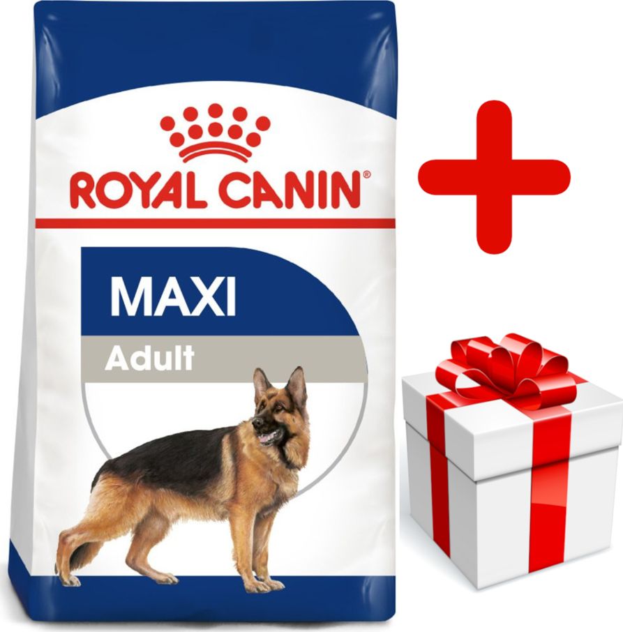 Royal Canin ROYAL CANIN Maxi Adult 15kg karma sucha dla psów dorosłych, do 5 roku życia, ras dużych + niespodzianka dla psa GRATIS!