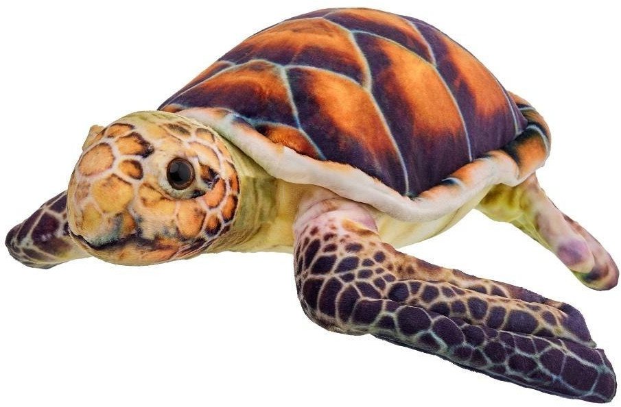 Żółw brązowy 28cm