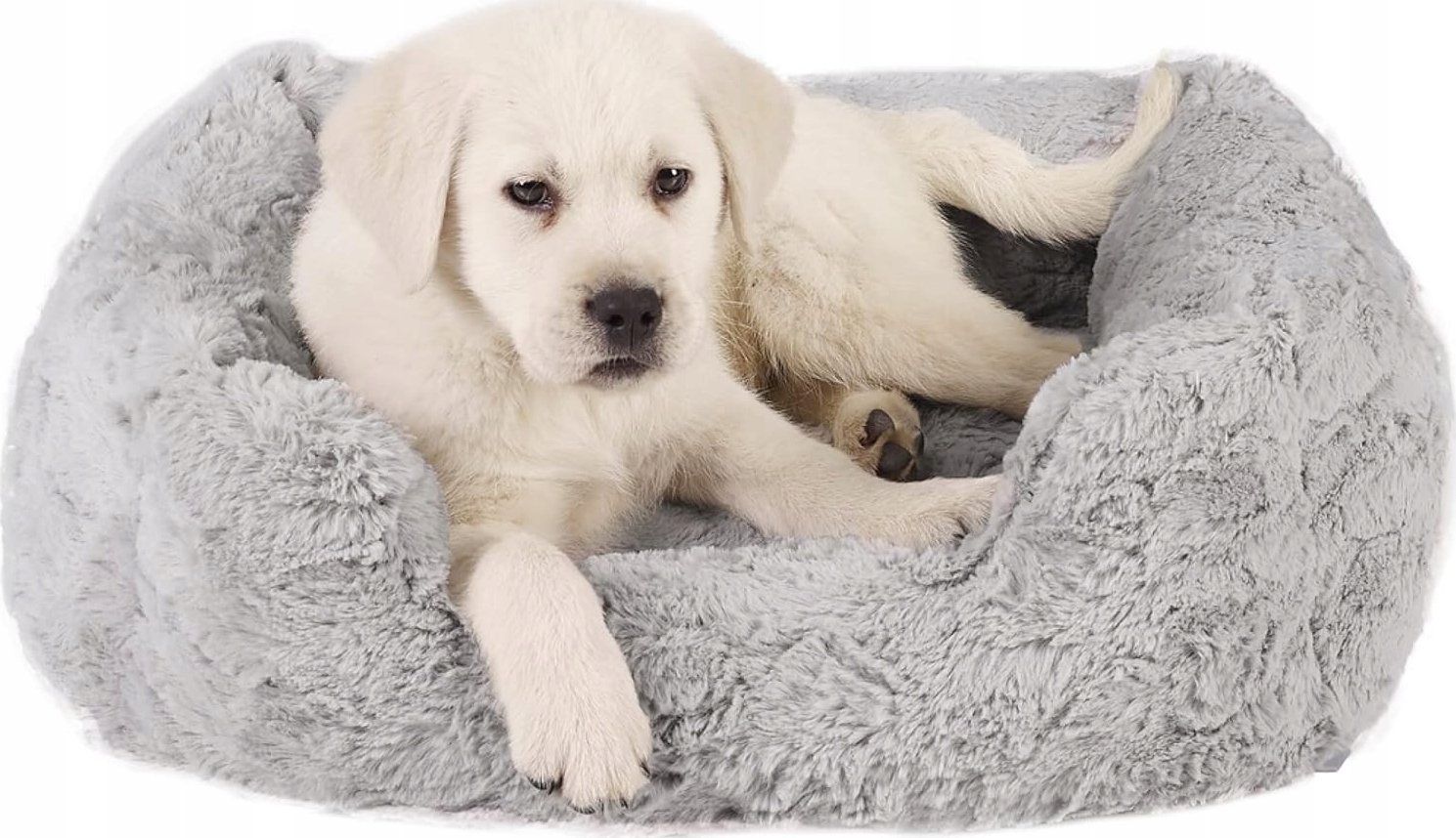 Barry King BEST FRIENDS LOUNGE LUX LEGOWISKO 50x38cm JASNO-SZARE