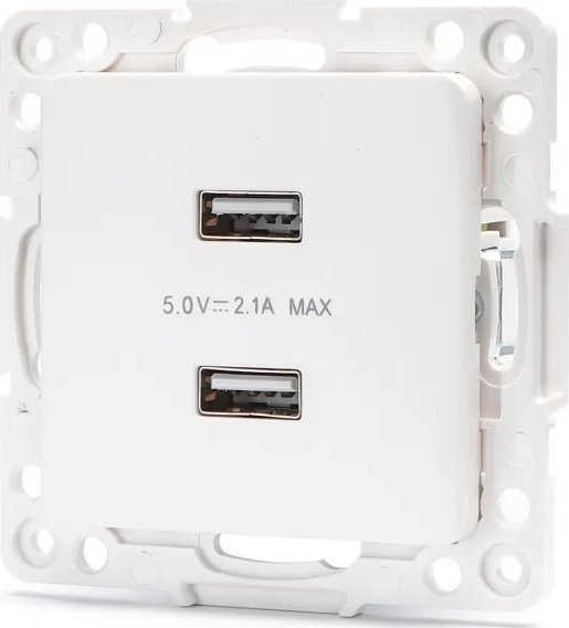 Aigostar Gniazdo USB podwójne typu niemieckiego/francuskiego klawisze Gniazdo USB podwójne typu niemieckiego/francuskiego klawisze