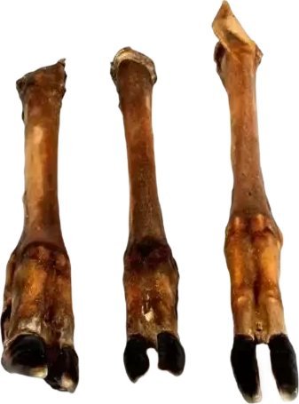 Arami Arami Racica Jelenia dla Psa 1szt.