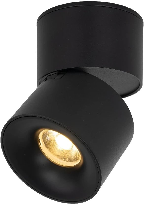 Ledowa lampka sufitowa Spark 18163 LED 10W 3000-6000K czarny