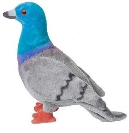 Gołąb miejski 20cm