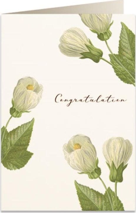 Tassotti Karnet B6 + koperta 6027 Gratulacje kwiaty