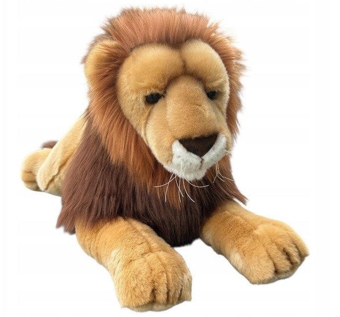 Lew leżący 70cm
