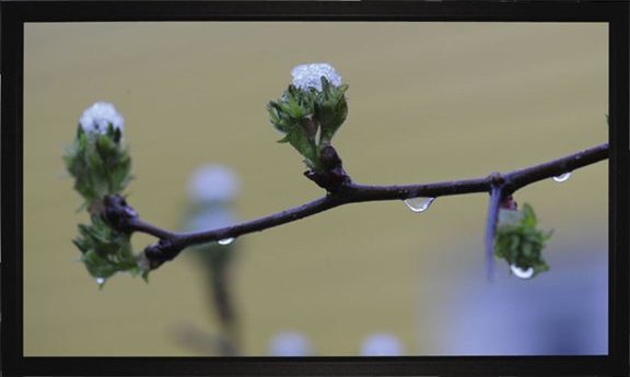 Ekran do projektora Medium MEDIUM Frame Budget Rahmenleinwand BM 240x135cm AM 256x151cm BxH 16:9 Format 8cm schwarzer Rahmen Typ D