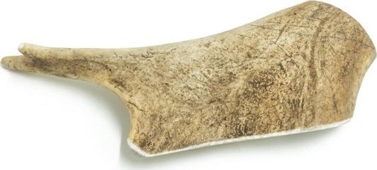 4DOGS 4DOGS GRYZAK L HARD z poroża daniela 15 cm