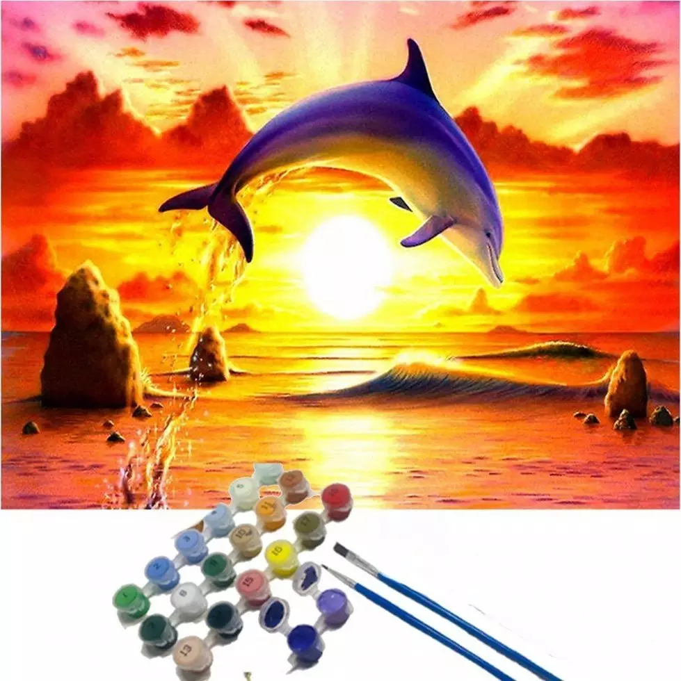 Malowanie po numerach Delfin na tle zachodu słońca 40 x 50cm 5552