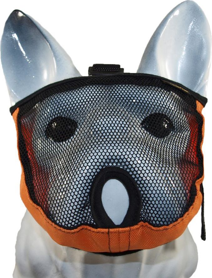 Grande Finale KAGANIEC BRACHYCEFALIC S