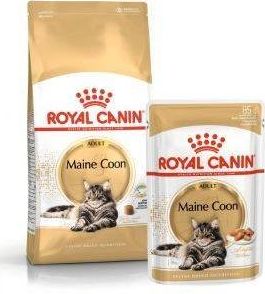 Royal Canin ROYAL CANIN Maine Coon Adult 10kg karma sucha dla kotów dorosłych rasy maine coon + saszetka Maine Coon Adult 12x85g