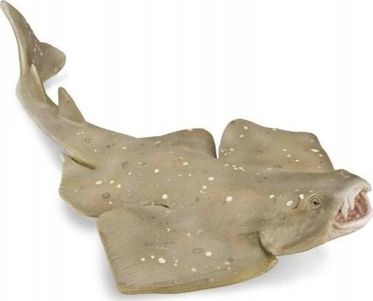 Figurka Collecta COLLECTA RASZPLA ZWYCZAJNA