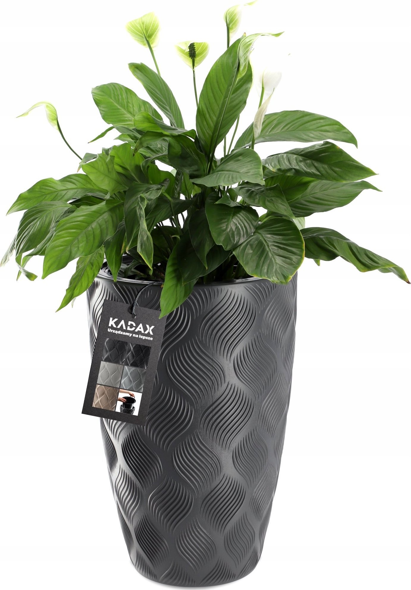 Kadax Donica Wysoka Doniczka Z Wkładem Ogrodowa 48,5cm