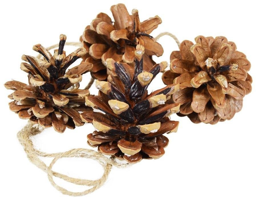 Szyszki naturalne 4szt