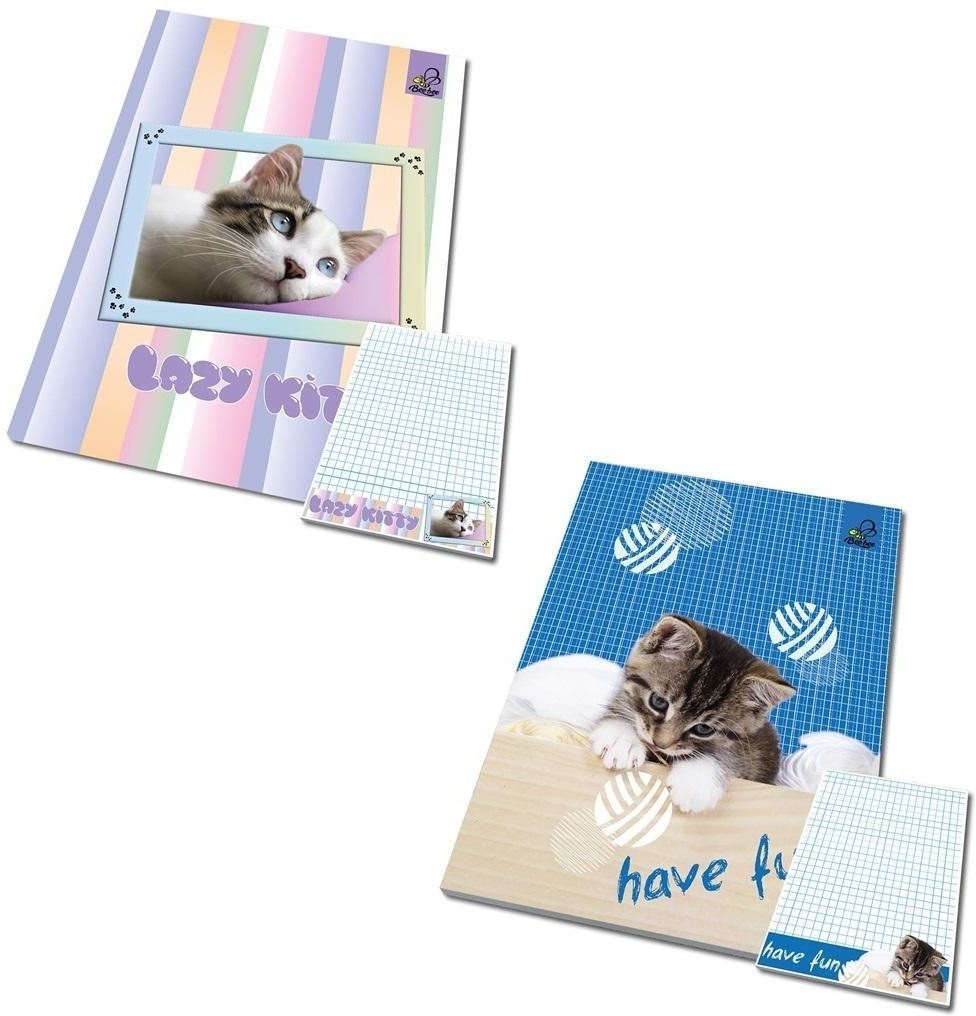 Notes A6/50K kratka poddruk zwierzaki Koty (10szt)