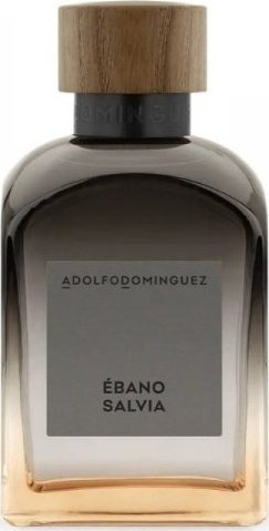 Adolfo Dominguez Perfumy Męskie Adolfo Dominguez bano Salvia EDP (120 ml)