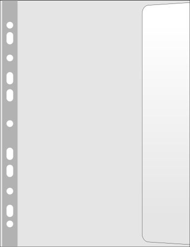 Donau Koszulki na dokumenty z klapą A4 100mic. 10szt. (14K016X)