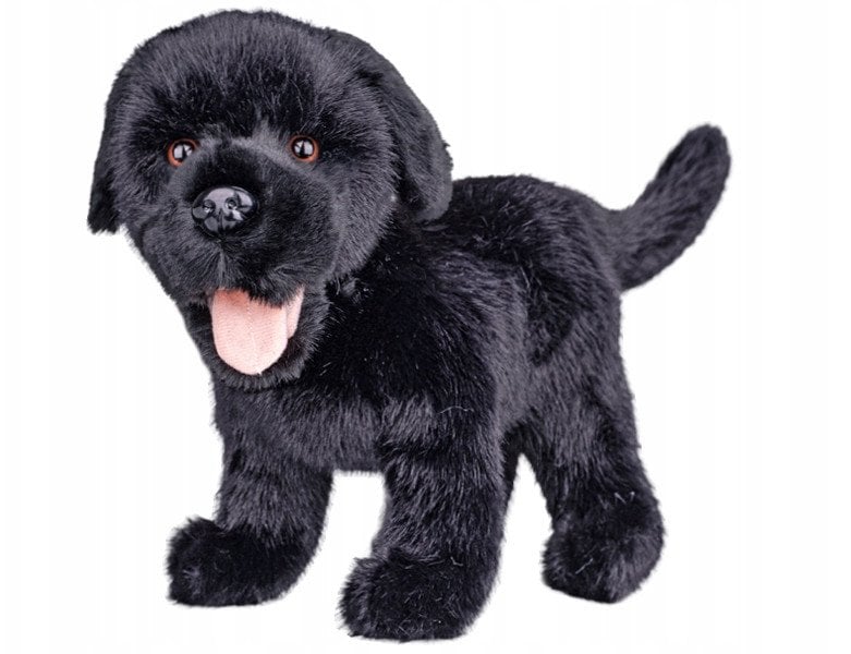 *****Labrador pluszowy 23cm 90455 04552