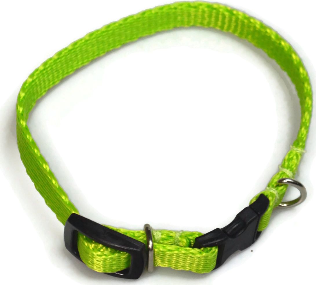 Alizoo Obroża dla psa 10mm/18-29cm - ALIZOO