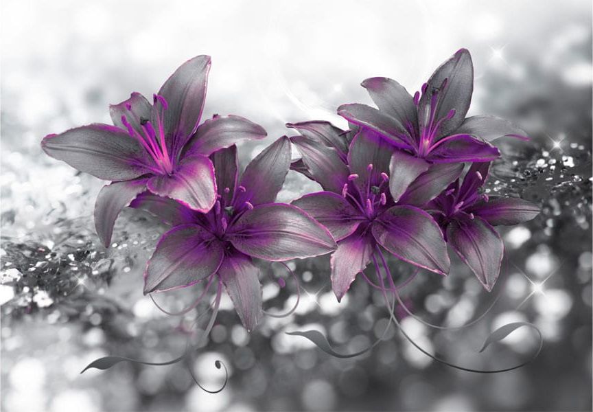 DecoNest Fototapeta - Sekret lilii - 200X140