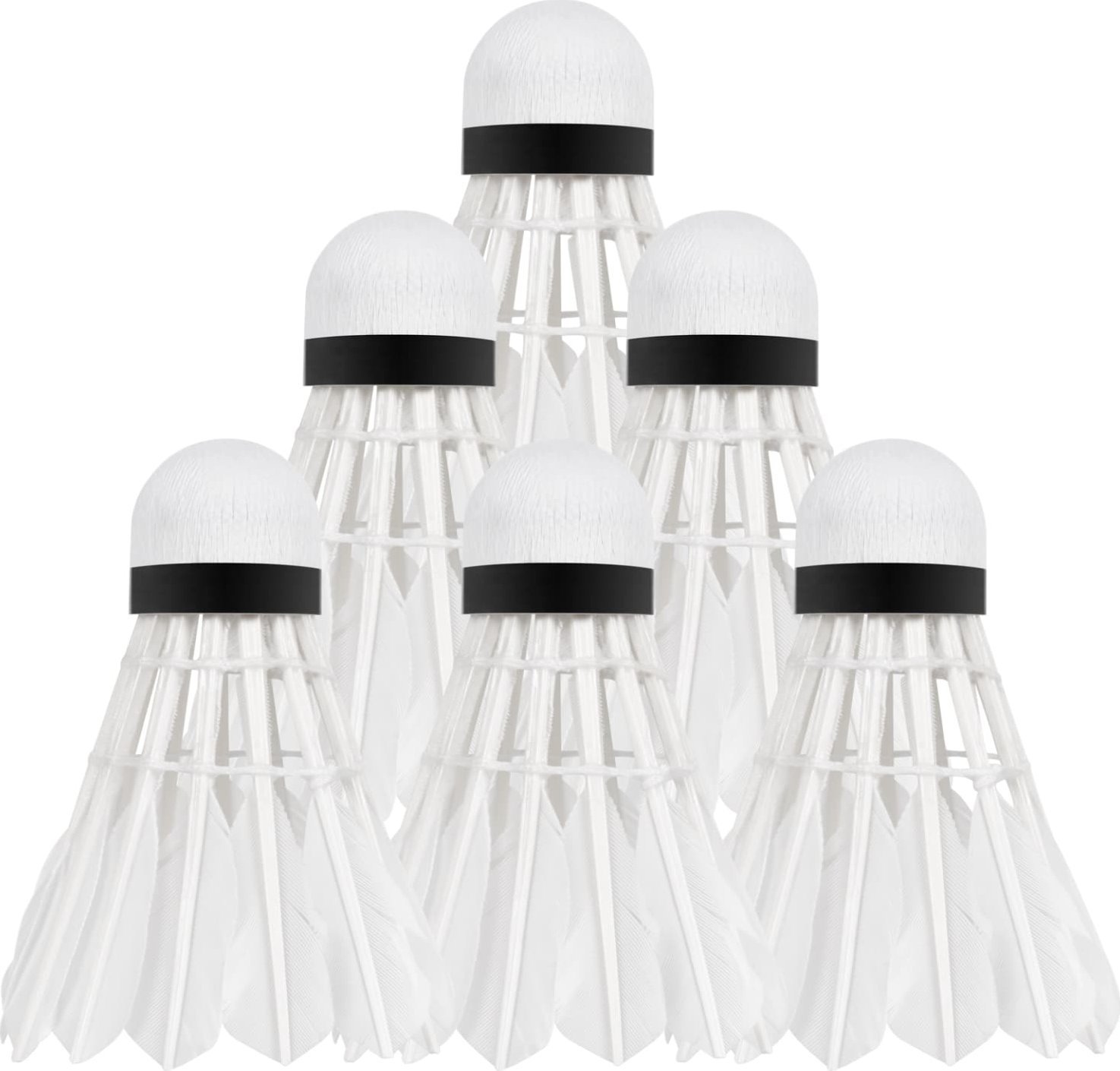 Rebel Active Lotki piórowe do badmintona z pierza gęsiego 6 szt. (RBA-4103)