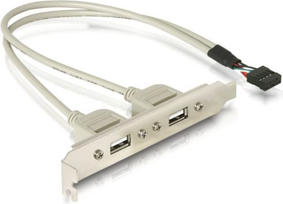 Delock Panel tylni gniazda 2x USB 2.0 (71000)