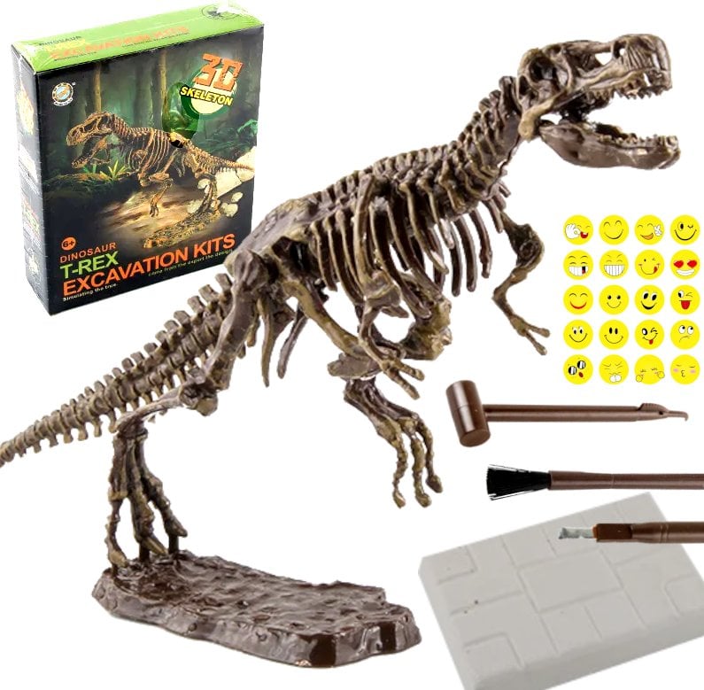 ZESTAW ARCHEOLOG WYKOPALISKA SKAMIELINY DINOZAUR SZKIELET T-REX