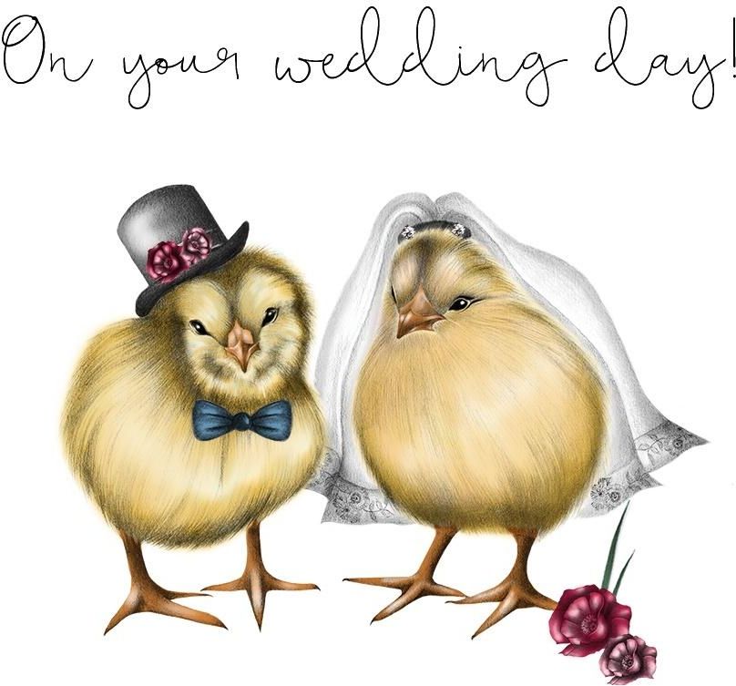 Clear Creation Karnet ślubny Swarovski kwadrat pisklęta (CL0304)