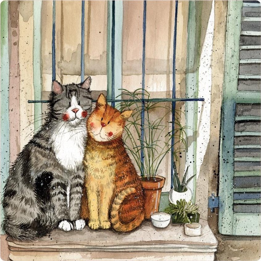 Magnes FM226 Koty na parapecie