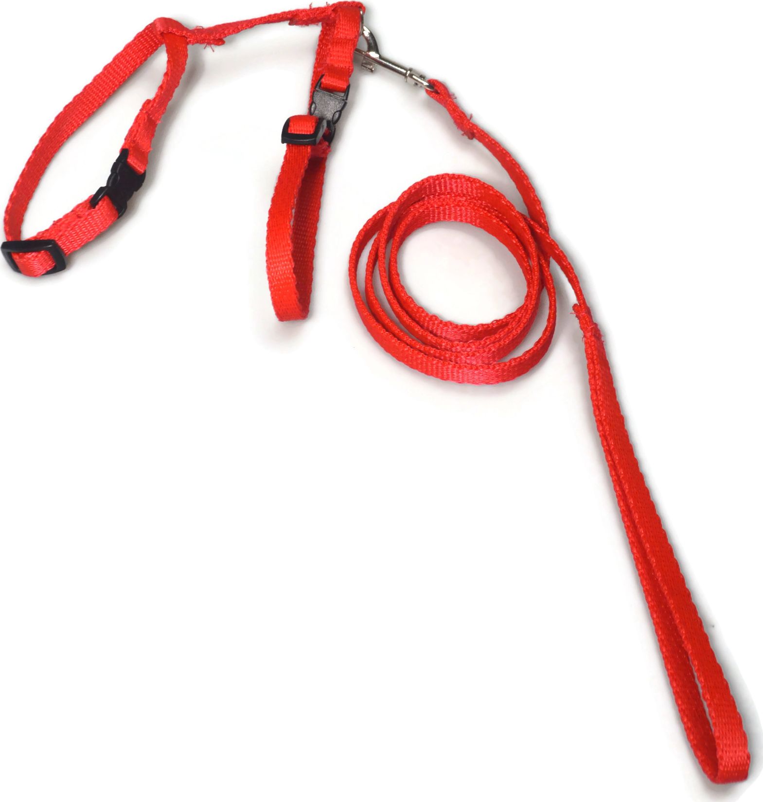 Alizoo Komplet dla kota, smycz plus szelki - ALIZOO