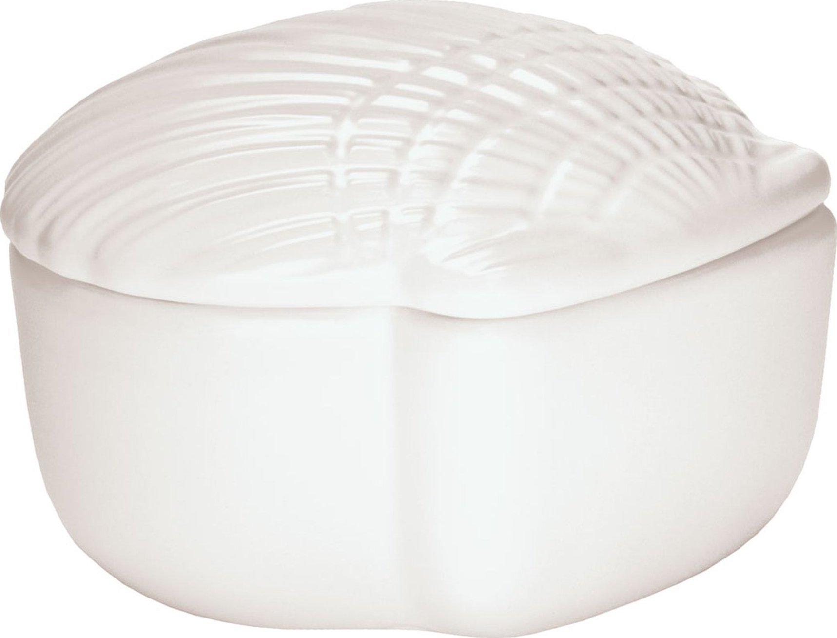 Kleine Wolke Concha Pojemnik kosmetyczny White Biały muszla