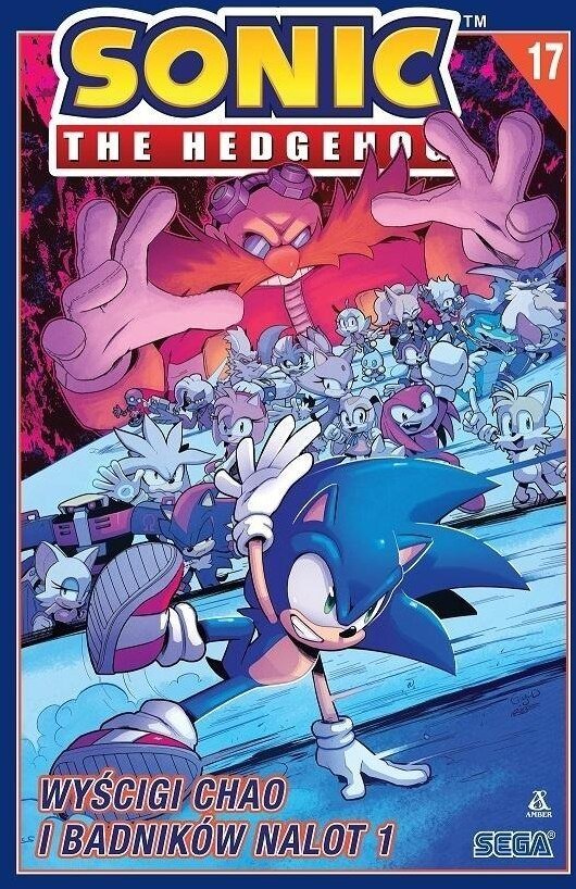 Sonic the Hedgehog 17. Wyścigi Chao i Badników