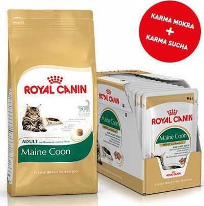 Royal Canin ROYAL CANIN Maine Coon Adult 31 2kg + 12x Maine Coon Adult saszetka 85g (Sos)