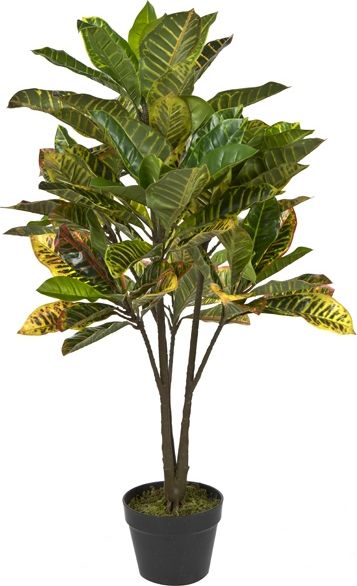 Witek Home Roślina doniczkowa Kroton zielony 100cm PROMO