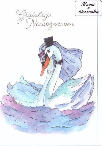 HENRY Karnet B6 z kieszonką - Łabędzie