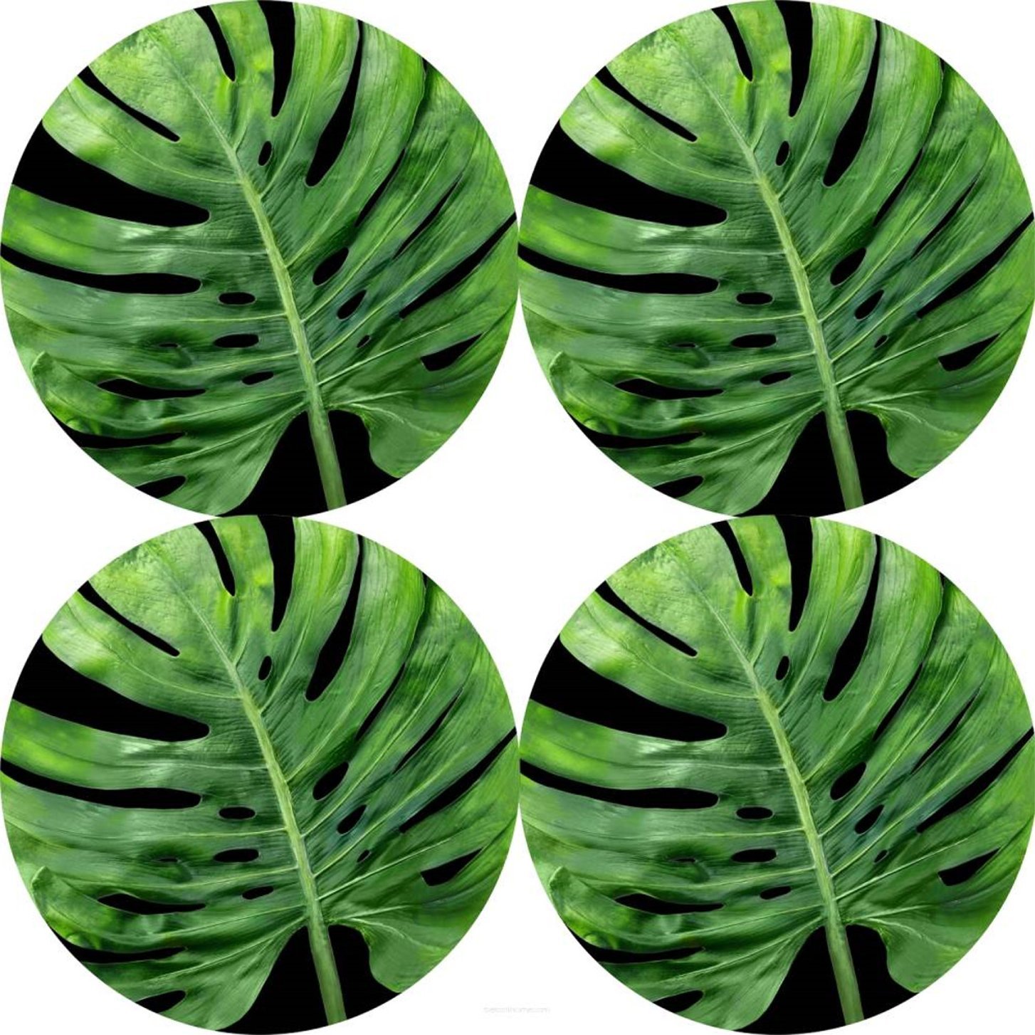 Bertoni Zestaw podkładek na stół okrągłych 4D - GALAPAGOS NIGHT