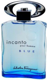 Salvatore Ferragamo Incanto Pour Homme Blue EDT 100 ml