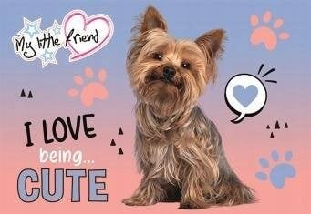 St. Majewski Podkład szkolny dwustronny laminowany My Little Friend mix cena za 1 szt