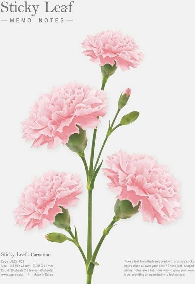 Appree Kartki samoprzylepne - goździk różowy L