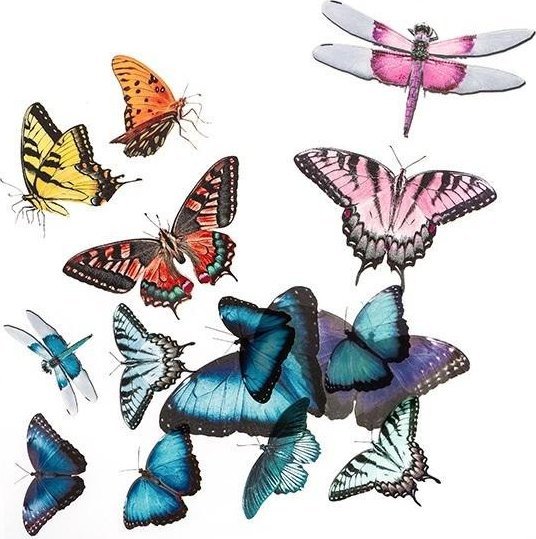 Naklejki transparentne PVC motyle