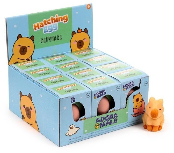 Wykluwające się jajko Kapibara