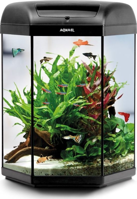 Axentia Akvariumas Hexa Set 60 Black